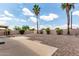 Large backyard showcasing rock landscaping, trimmed hedges, and mature palm trees at 6516 E Rochelle St, Mesa, AZ 85215