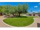 Backyard featuring lush artificial turf, mature trees, and unique landscaping at 7102 E Kalil Dr, Scottsdale, AZ 85254