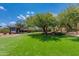 Beautiful backyard with artificial turf, mature trees, and outdoor structures at 7102 E Kalil Dr, Scottsdale, AZ 85254