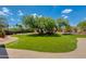 Lush artificial turf backyard with mature trees and desert landscaping features at 7102 E Kalil Dr, Scottsdale, AZ 85254