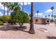 Backyard landscaping featuring palm trees, gravel, grass, and a partially covered porch at 9302 E Broadway Rd # 45, Mesa, AZ 85208