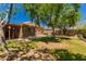 Spacious backyard featuring mature trees and a covered patio area perfect for outdoor gatherings at 9603 N 1St Ave, Phoenix, AZ 85021