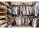 Spacious walk-in closet with ample shelving and hanging space for organized storage at 1421 E Charleston Ave, Phoenix, AZ 85022
