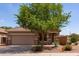 Charming single-story home with desert landscaping, a mature shade tree, and inviting curb appeal at 1461 W Brangus Way, San Tan Valley, AZ 85143