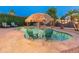Lush backyard featuring a sparkling pool, charming tiki umbrella and comfortable lounge chairs, perfect for relaxation at 16375 W Cortez St, Surprise, AZ 85388