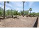 View of large backyard featuring desert landscaping and mature shade trees at 16772 W Cypress St, Goodyear, AZ 85395