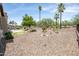 Expansive backyard with desert landscaping, palm trees, and views of the surrounding community at 16772 W Cypress St, Goodyear, AZ 85395