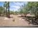 Desert landscaped backyard with large trees and desert foliage at 16772 W Cypress St, Goodyear, AZ 85395
