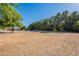 Wide shot of vacant rural land lot with many trees and barns in the background at 2724 W Colt Rd, Chandler, AZ 85224