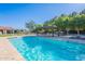 Gorgeous backyard pool with baja step, pergola, mature trees, and manicured landscaping at 2724 W Colt Rd, Chandler, AZ 85224