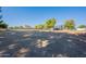Spacious rural property with lush green grass and barn in the background at 2724 W Colt Rd, Chandler, AZ 85224