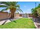 Backyard with a metal shed, green grass, and a palm tree at 3905 S Bridal Vail Dr, Gilbert, AZ 85297