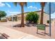 Inviting neighborhood of Sunland Villas featuring well-kept landscaping, mature palm trees, and charming home exteriors at 4501 E Carol Ave # 77, Mesa, AZ 85206
