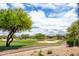 Scenic golf course view featuring lush green fairways, sand traps, and mature trees under a partly cloudy sky at 5450 E Deer Valley Dr # 1004, Phoenix, AZ 85054