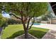 Charming backyard with verdant artificial turf, blooming flowers, privacy shrubs and a refreshing swimming pool at 7049 E Latham St, Scottsdale, AZ 85257