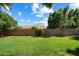 Spacious backyard featuring lush lawn, mature trees, and block fence providing privacy at 7925 E Osage Ave, Mesa, AZ 85212