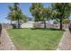 Spacious backyard with lush lawn, privacy fence, and mature trees perfect for outdoor activities at 1021 S Almar Cir, Mesa, AZ 85204