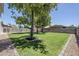 Beautiful backyard with green grass, mature trees, and rock borders for easy maintenance at 1021 S Almar Cir, Mesa, AZ 85204