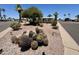 Desert landscaping featuring mature cacti and trees in the front yard at 120 N Val Vista Dr # 272, Mesa, AZ 85213