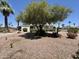 Lush, mature tree and low-maintenance gravel landscaping in front of the home at 120 N Val Vista Dr # 272, Mesa, AZ 85213