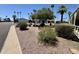 Well-maintained front yard with desert landscaping, featuring mature trees and decorative stone at 120 N Val Vista Dr # 272, Mesa, AZ 85213
