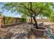 Private backyard with a mature shade tree, lush landscaping, and custom stone patio at 1225 S 160Th Ln, Goodyear, AZ 85338