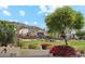 Expansive backyard with lush landscaping, mature trees, and views of the mountains at 1228 E Mountain Vista Dr, Phoenix, AZ 85048