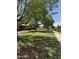 Well-maintained lawn area with mature trees, landscaping, and walkways in residential neighborhood at 17841 N Del Webb Blvd, Sun City, AZ 85373