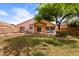 Expansive lawn and a covered patio perfect for relaxation and entertaining outdoors at 300 W Cardinal Way, Chandler, AZ 85286