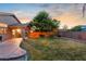 Lush backyard featuring a covered patio, green lawn, mature landscaping and block fencing at 300 W Cardinal Way, Chandler, AZ 85286
