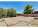 Large backyard featuring a mature tree, brick fire pit, and plenty of open space at 3001 N 21St Ave, Phoenix, AZ 85015