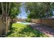 Expansive backyard with mature trees, a refreshing pool, and a covered patio, perfect for outdoor living at 3009 W Christy Dr, Phoenix, AZ 85029