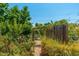 Backyard highlighting a shaded walkway, mature plants, and colorful foliage creating a tranquil outdoor space at 4629 N 9Th St, Phoenix, AZ 85014