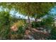 A tranquil garden with mature trees offers shade and privacy to the backyard at 4629 N 9Th St, Phoenix, AZ 85014