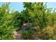 Backyard displaying a variety of green plants, trees, and mulch ground cover creating a serene environment at 4629 N 9Th St, Phoenix, AZ 85014