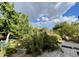 Backyard area with mature trees, plantings, and hardscaping at 4629 N 9Th St, Phoenix, AZ 85014