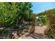 Backyard showcasing a verdant garden, kale plants, and shady spots, perfect for relaxation and gardening at 4629 N 9Th St, Phoenix, AZ 85014