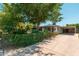 Charming single-story home featuring a lush, mature tree and covered carport at 4629 N 9Th St, Phoenix, AZ 85014