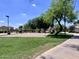 Community volleyball court with green space, trees and blue skies at 6049 S Wilson Dr, Chandler, AZ 85249