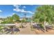 Expansive backyard features a windmill, a covered patio area and multiple storage sheds at 833 N 110Th St, Mesa, AZ 85207