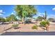 Well-maintained backyard with desert landscape, mature shade trees, and a storage shed at 833 N 110Th St, Mesa, AZ 85207