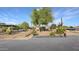 Large backyard showcasing the well-maintained landscape with mature trees, bushes and desert plants at 833 N 110Th St, Mesa, AZ 85207