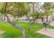 Inviting community grounds with lush green grass, mature trees, BBQ grill, and a refreshing pool in the background at 925 S Longmore -- # 201, Mesa, AZ 85202