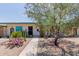 Charming home featuring desert landscaping, including cacti and decorative rocks, beneath a flowering shade tree at 9929 W Thunderbird Blvd, Sun City, AZ 85351