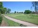 Scenic view of the golf course, lush green grass, blue sky, and beautiful trees in the background at 22364 N 59Th Ln, Glendale, AZ 85310