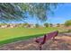 Red park bench overlooking the well-maintained grassy park, offering a tranquil community space for relaxation and recreation at 2620 E Rustling Oaks Ln, Phoenix, AZ 85024