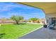 Beautiful backyard with manicured turf, BBQ grill, and a relaxing seating area for outdoor enjoyment at 4611 E Night Glow Dr, Cave Creek, AZ 85331