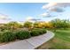Scenic walking path through the community with lush landscaping and beautiful shade trees at 5328 S Wesley Cir, Mesa, AZ 85212