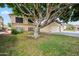Charming home with a large tree shading the front yard at 608 E Arabian Ct, Gilbert, AZ 85296