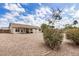 Large backyard with gravel landscaping, rear patio, and mature bushes at 8103 E Dartmouth St, Mesa, AZ 85207